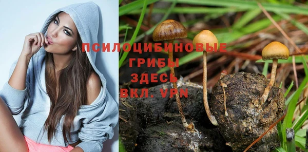 синтетический гашиш Алзамай