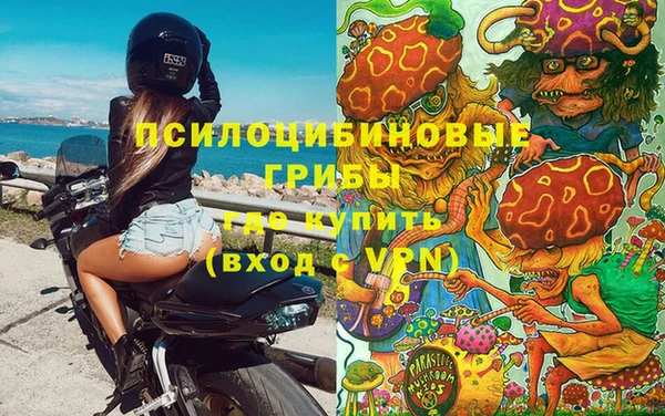 PSILOCYBIN Алексеевка