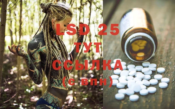 PSILOCYBIN Алексеевка